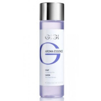 GIGI Aroma Essence Skin Soap for Delicate Skin 250ml
